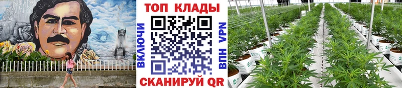 Где купить наркотики Нижний Ломов Канабис Кокаин Меф мяу мяу
