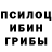 Псилоцибиновые грибы Psilocybe Asilhan Beisekeeva