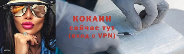 крисы Новодвинск