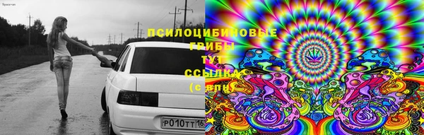 первитин Алексеевка